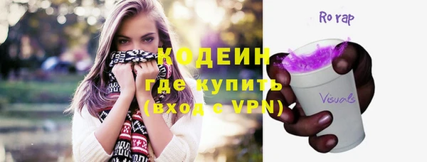 ГАЛЛЮЦИНОГЕННЫЕ ГРИБЫ Михайлов