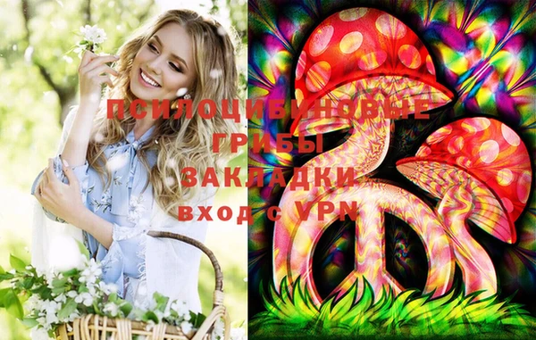 ГАЛЛЮЦИНОГЕННЫЕ ГРИБЫ Михайлов