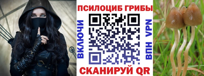 Галлюциногенные грибы ЛСД  Купить где  Казань 